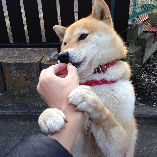 意甲技战术大比拼:精彩场面不停歇,意甲技术统计