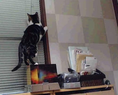 斯诺克世界排名丁俊晖升至前十,斯诺克世锦赛冠军 丁俊晖